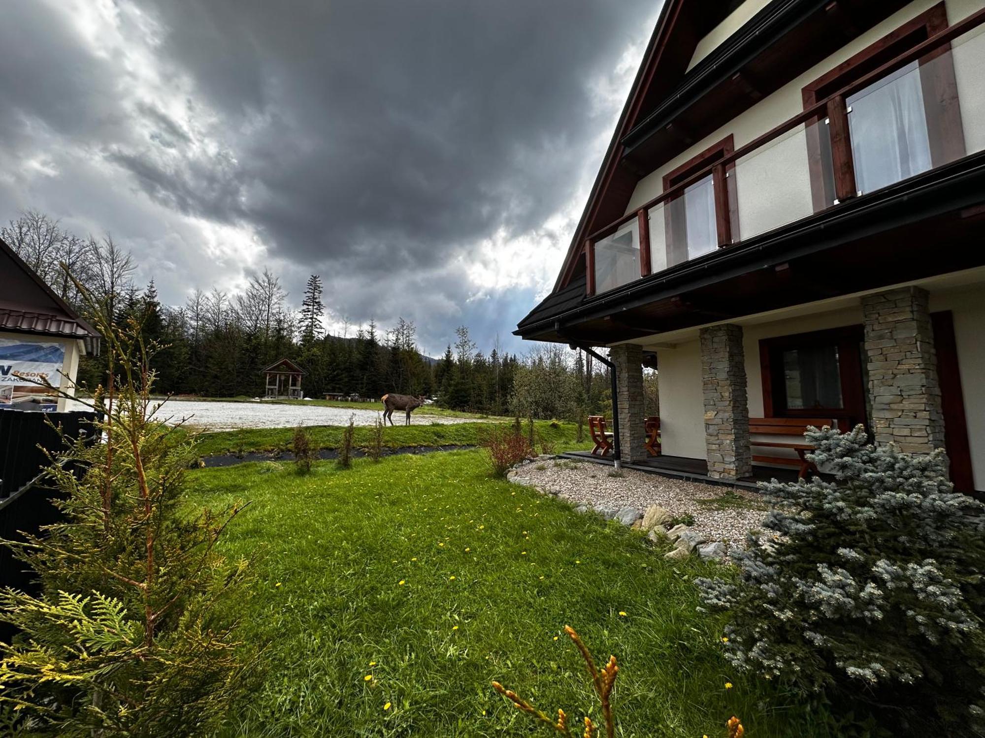 Apartamenty Willa Nika Закопане Екстериор снимка